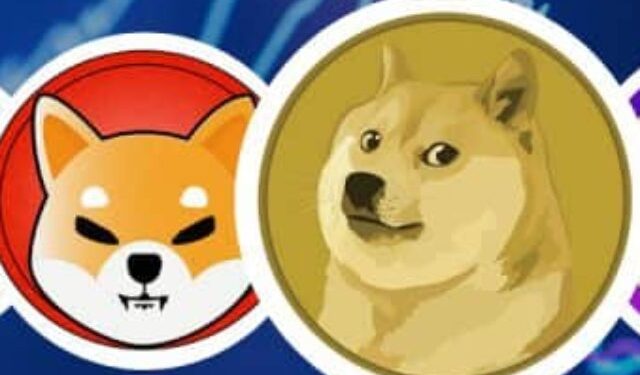 Shiba Inu vs. Dogecoin 2024 Showdown – CoinGape