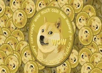 DOGE-1 Project Gains SpaceX Endorsement