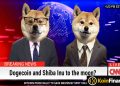Dogecoin (DOGE) ve Shiba Inu (SHIB) Yükselen Bitcoin’e Nasıl Tepki Verecek?