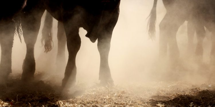 Avalanche Rally Just Getting Started?