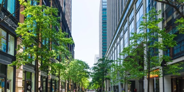 Tokens and login sessions in IBM Cloud