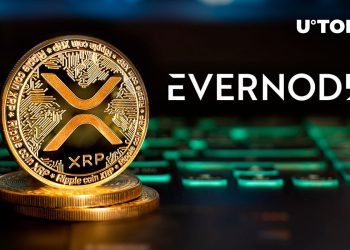 What XRP Holders Need to Know About Evers Airdrop