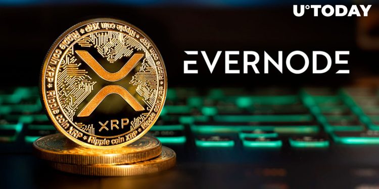 What XRP Holders Need to Know About Evers Airdrop