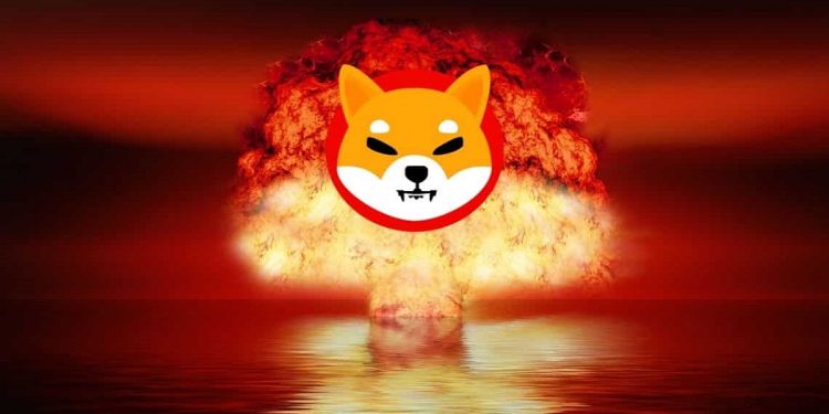 Shiba Inu Burn Rate Soars 83000% As Whale Shifts 4 Tln SHIB