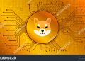 'Dogecoin Killer' Shiba Inu Burn Rate Surges 1,600% As Whale Moves $46M Worth SHIB, Warren Buffett-Backed – Benzinga