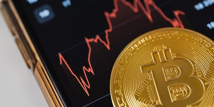 Risks and Rewards: Dogecoin $DOGE Staking Considerations | by Oasis Witch | Jan, 2024