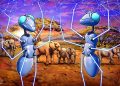 Web3 faces regulatory hurdles in Africa, slowing progress