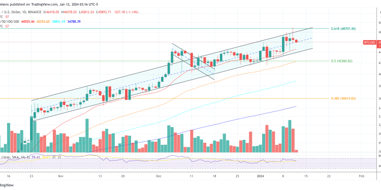 Bitcoin Stalls At $46,000 Despite Record ETF Day: Here’s Why