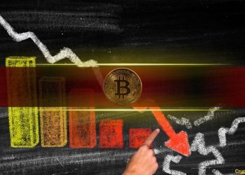 Bitcoin Can Plummet to $20K, According to Crypto Exec