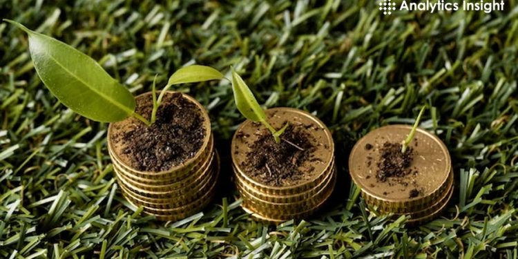How to Yield Maximum Returns this Year