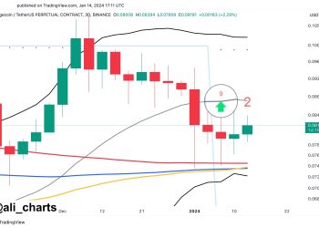 Dogecoin To See 24% Rally To $0.100 If This Holds: Analyst