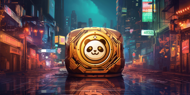 Crypto Experts Consider Pandoshi (PAMBO) the Most Secure Project in the DeFi Space