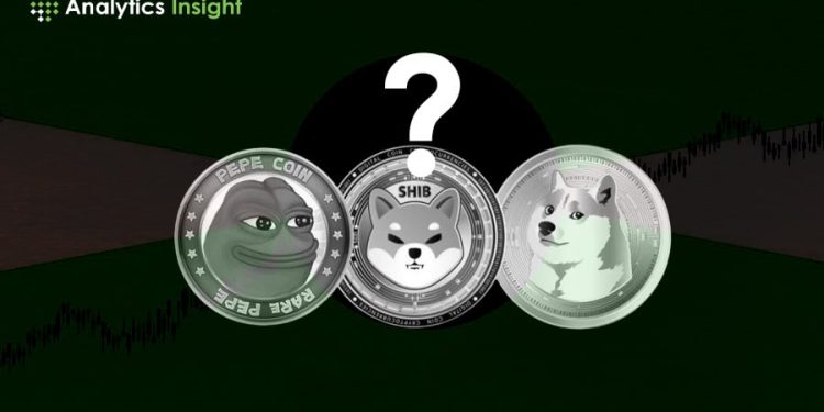 Which will Skyrocket in 2024?