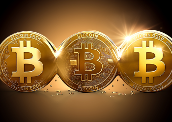 Michael Saylor Says “The Year Of Bitcoin” Has Arrived, Here’s What He Means