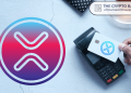 Report Shows 42% Surge in XRP Payments to Global Merchants: Details