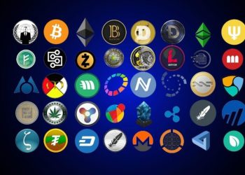 Which Cryptocurrency to Buy Today? LINK, TON, ENS
