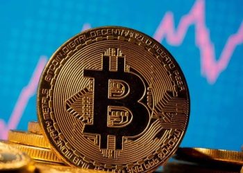 Cryptocurrency Policies: A Global Overview | by Leed Software Development | Feb, 2024