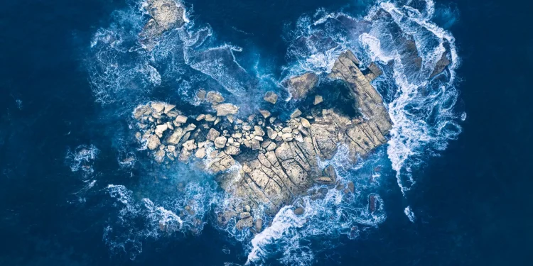 Sustainability trends: 5 issues to watch in 2024