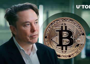 Bitcoin and Elon Musk Have This Stunning Thing In Common: VanEck’s Top Exec