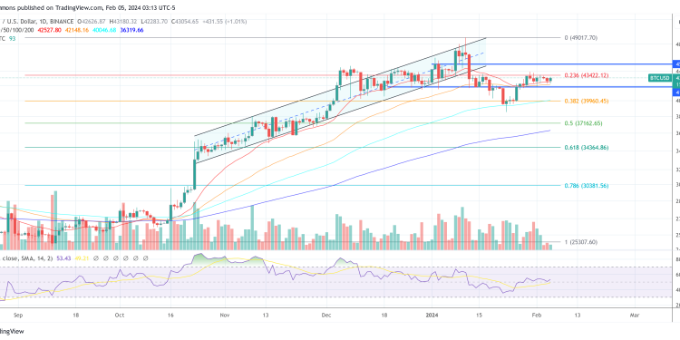 Why Is Bitcoin Price Not Going Up Despite The ETFs? Expert