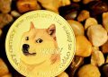 Dogecoin Rallies 50% To Beat Out Avalanche, BONK Overtakes PEPE