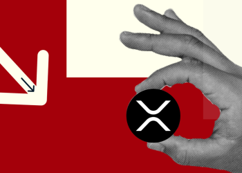 XRP Price To Drop? Ripple’s Schwartz Questions Immediate Impact of AMMs