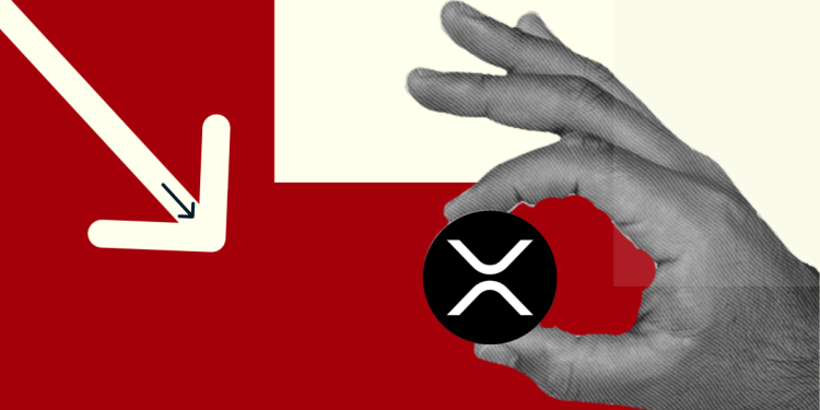 XRP Price To Drop? Ripple’s Schwartz Questions Immediate Impact of AMMs