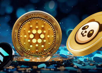 Pandoshi (PAMBO) Captures DeFi Whales, Surpassing Polygon (MATIC) and Cardano (ADA)