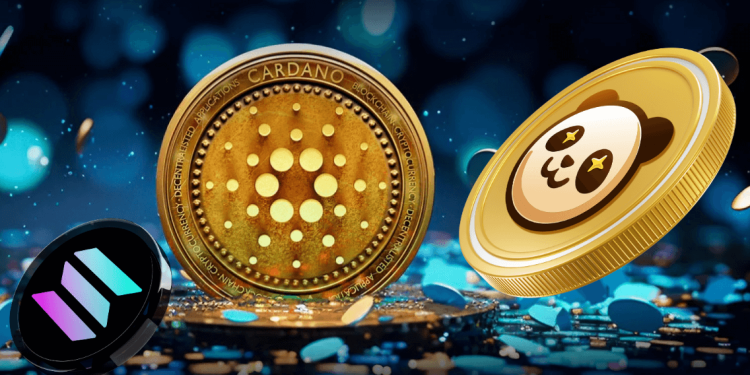Pandoshi (PAMBO) Captures DeFi Whales, Surpassing Polygon (MATIC) and Cardano (ADA)