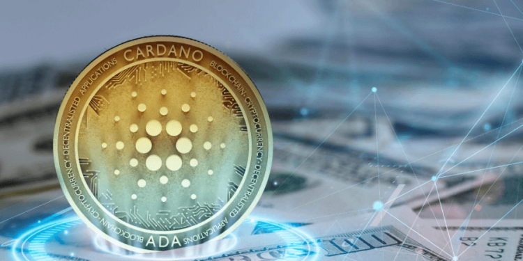 40X Wow! Cardano (ADA) investor puts over $100,000 into Kelexo (KLXO) presale as Dogecoin (DOGE) & Shiba Inu (SHIB) investors also buy in early