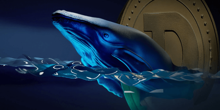 New Dogecoin-Like Crypto Pandoshi Surges 500%, Attracts DOGE Whales Ahead of 2024 Bull Run