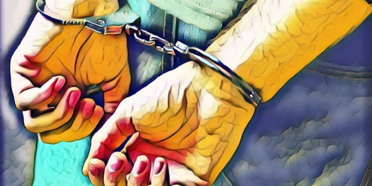 Georgia Woman Arrested for Crypto Theft in Sarasota County