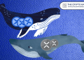 Whale Accumulates 218M XRP In Anticipation of Rise Amid Bitcoin Push Above $52K