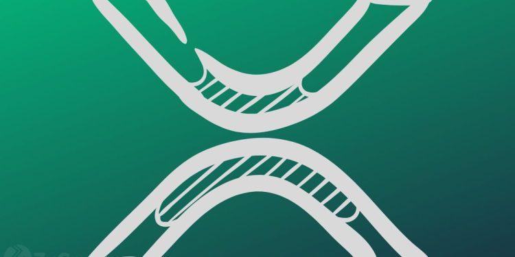 XRP Explosion In The Cards As Ripple Renews Optimism in the U.S. Market With Latest Acquisition ⋆ ZyCrypto