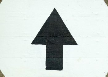 Bitcoin (BTC) Price Near $49K as Spot Bitcoin ETF Inflows Soar