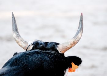 Ethereum Bulls Get Aggressive As Traders Set Sights on $4,000