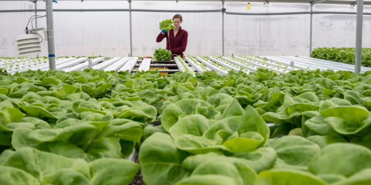 Examples of sustainability: How new efforts are shaping the environmental future