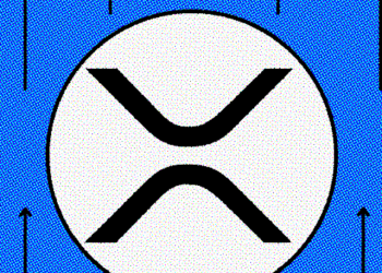 Buy and Secure your Ripple (XRP): A Guide – CoinGape