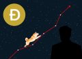 ‘Dogecoin Setting Up Nice For Its Next Run’ Says Doge Expert: 890,000 New Dogecoin Addresses Created In 7 Days