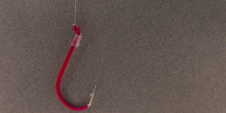 Crypto Wallets Drained Off $600K Due To Ignored Phishing Attack