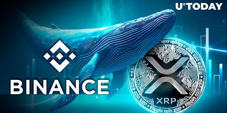 XRP Whale Shifts Millions of XRP Tokens to Binance, Here’s Why