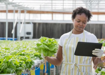 The path to embedded sustainability
