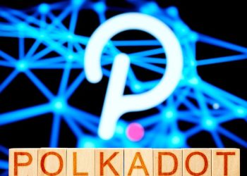 Polkadot Network Announces New Software Development Kit (SDK) to Enable Seamless Deployment of Web3 Applications