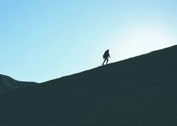 Base Network’s Daily Trading Volume Surges by 51% to Reach New High