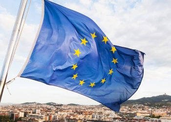 Shorthanded EU Struggles in Crypto Regulation Risk Falling behind Global Standards