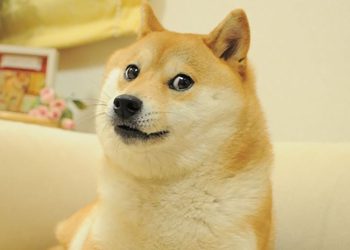 Dogecoin (DOGE), PEPE, SHIB Rally Could Be Early Signal for Impending Altcoin Season