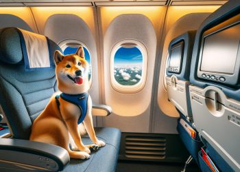 Can It Match Dogecoin’s Market Cap?