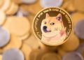 Dogecoin Holder Base Reaches New Record Amid Surge In Interest