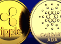 Cardano (ADA) & Ripple (XRP) Holders Unite in Pushd (PUSHD) Presale for Potential Big Gains