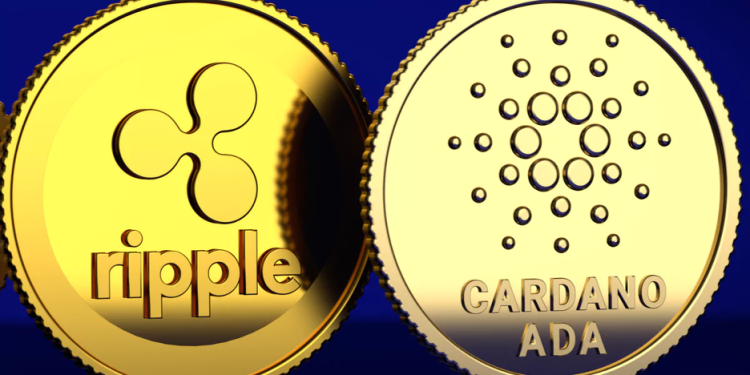 Cardano (ADA) & Ripple (XRP) Holders Unite in Pushd (PUSHD) Presale for Potential Big Gains